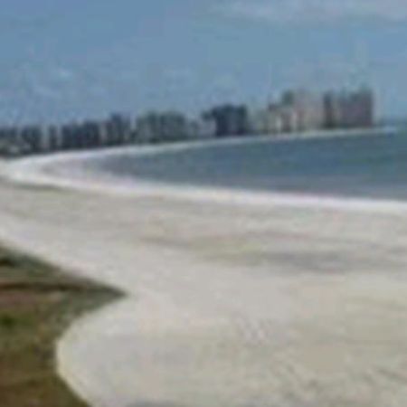 Aparthotel South Seas On The Gulf Marco Island Einrichtungen foto